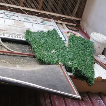 Çevre, Şehircilik Ve İklim Değişikliği Bakanlığı Çevre Kirliliği Sorunu