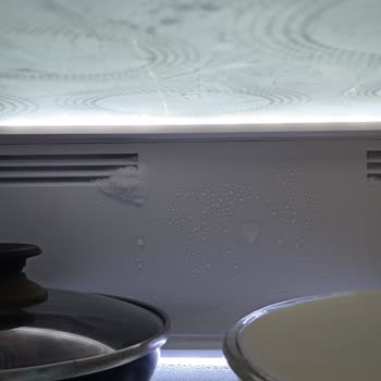 Vestel Dolap Buzlanma Yapıyor