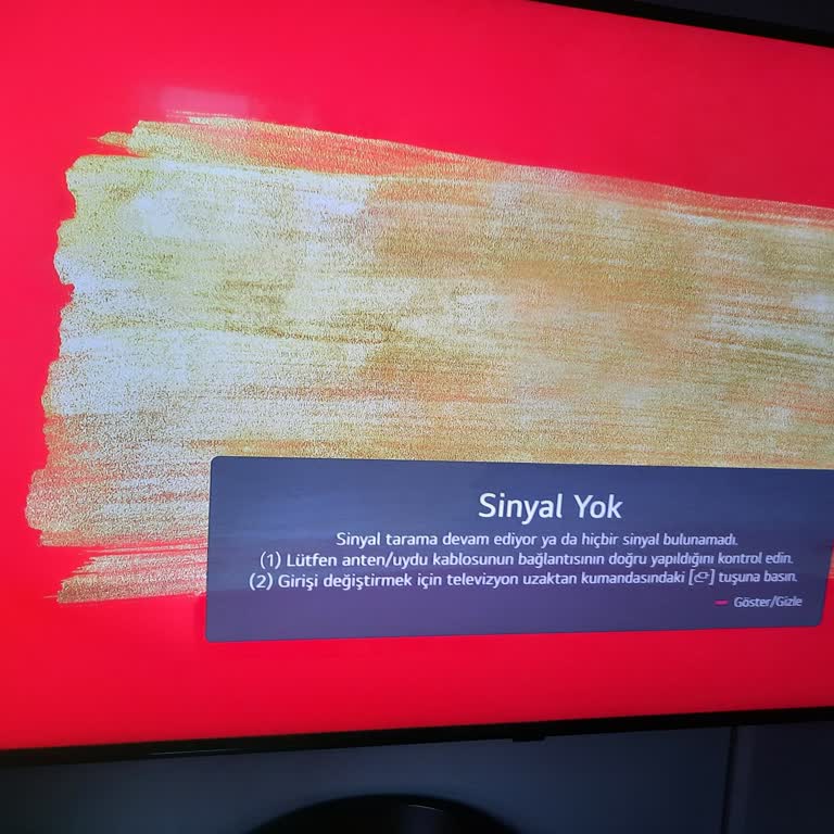 LG TV Kanal Güncellemesi Yapılamıyor