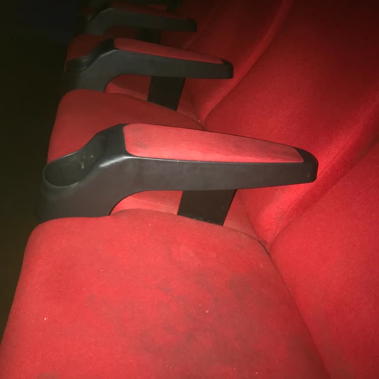 Konya Avşar Sinemaları Sıfır Temizlik