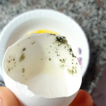 Mopaş Hipermarket Bozuk Ve Küflü Ürün