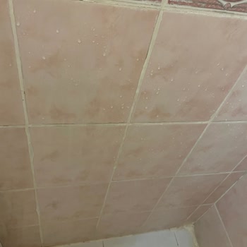 Yay Grand Otel Tur Otelinde Hayal Kırıklığı: Eski Ve Bakımsız Tesis