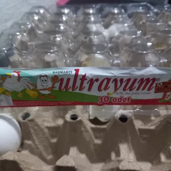 A101 Den Aldığım Bozuk Yumurta