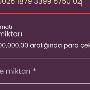 Davegas Kendi Hesabımdan Para Çekiyorum