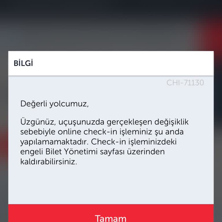 THY Ve Anadolu Jet Mağduriyeti