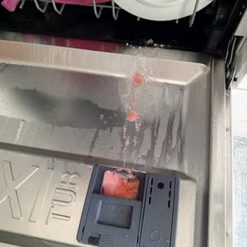 Hoover Mağdurluğu Ve Pişmanlığı