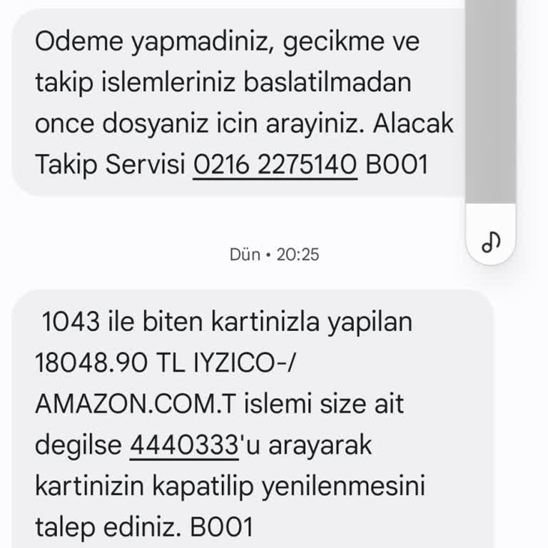 Iyzico Bilgim Dışında 18 Bin Para Çekildi