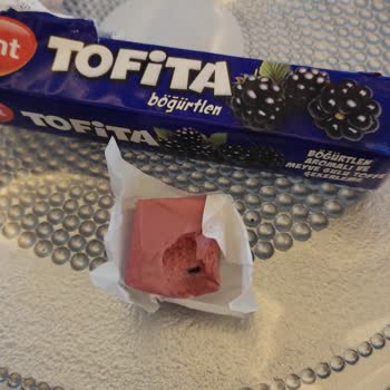 Kent Markasının Tofita Ürünü Böcekli