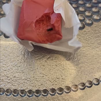 Kent Markasının Tofita Ürünü Böcekli