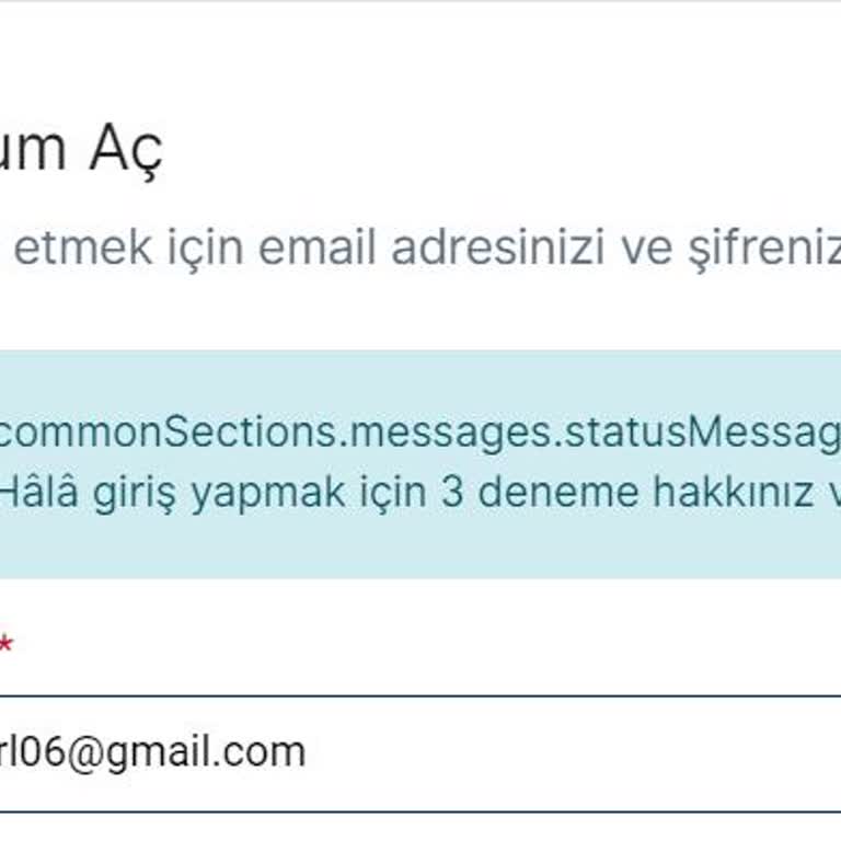 VFS Global Giriş Yapamama Sorunu