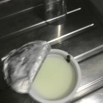 İçim Süt ve Süt Ürünleri İçim Ayrandan Küf Siyah Parça Çıktı