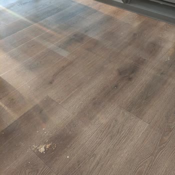 Sabiha Gökçen Havalimanı Havalimanı Temizlik Şikayeti