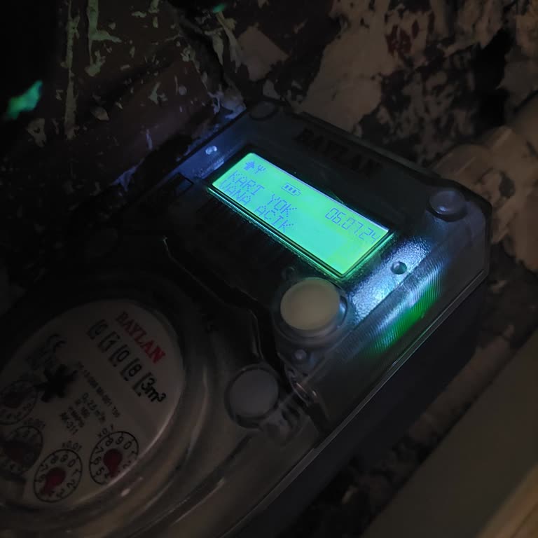 Baylan Su Sayaçları 15 Gün Arayla Arıza Verdi.