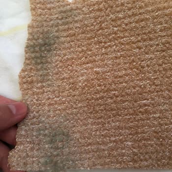 Asrın Tandırı Küflü Ekmek Gönderimi Ve Herhangi Bir Özür Dilemedi.