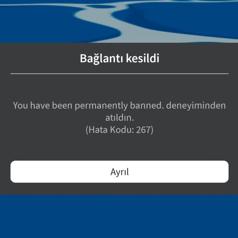 ROBLOX 267 Error Çözüm
