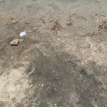 Costa 3s Beach Bodrum Memnuniyetsizliğim