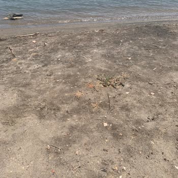 Costa 3s Beach Bodrum Memnuniyetsizliğim