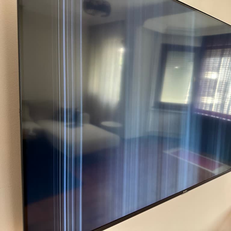 Sunny Axen 55" TV Ekran Bozulması!
