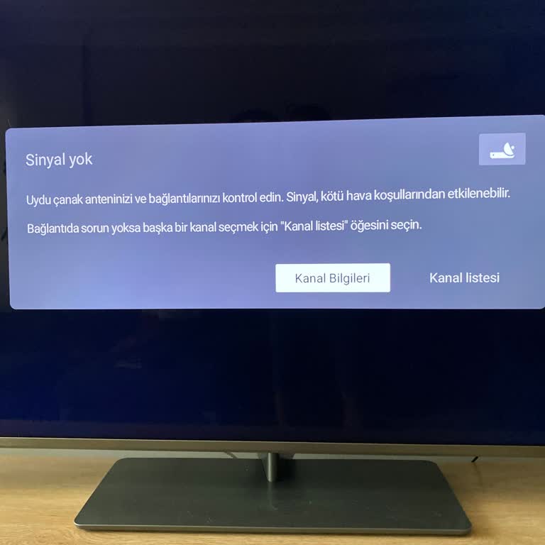 Philips TV TRT Sinyal Yok