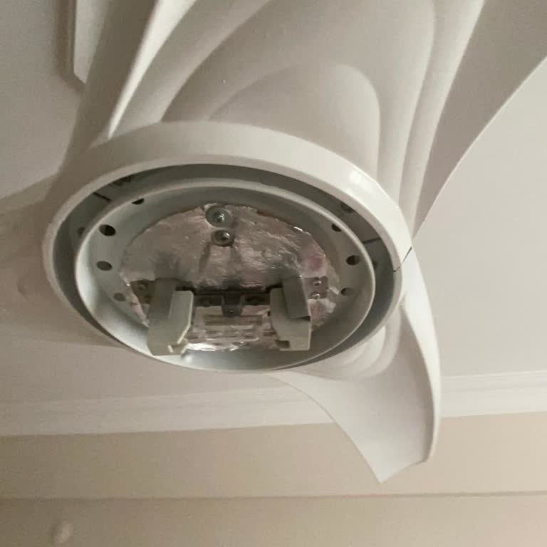 Koçtaş Colours Linto Tavan Vantilatörü - Yedek Parça Sorunu