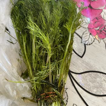 Migros Hemen Çürük Ürün Gönderdi