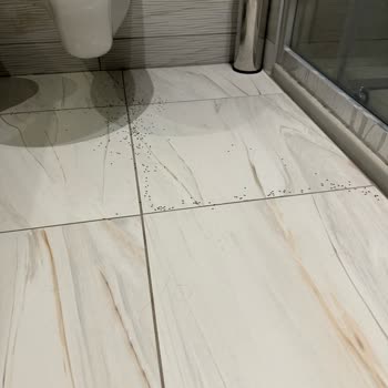 Şah inn Paradise 4. Kez Geldik Ama Bu Sene Hayal Kırıklığına Uğradık