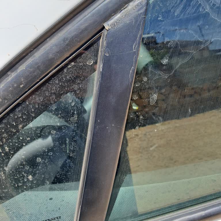 Renault Acil Çözüm Bekliyoruz