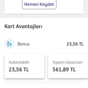 ING Bankası, Pegasus Hava Yolları Bol Puan Problemi