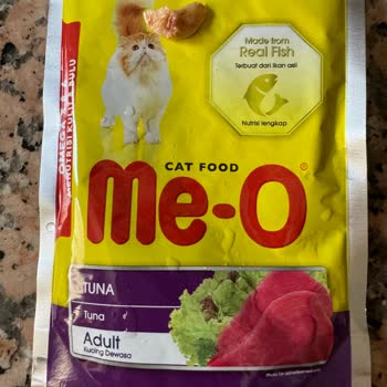 Perfect Companion Group Meo Kedi Yaş Maması Sorunu