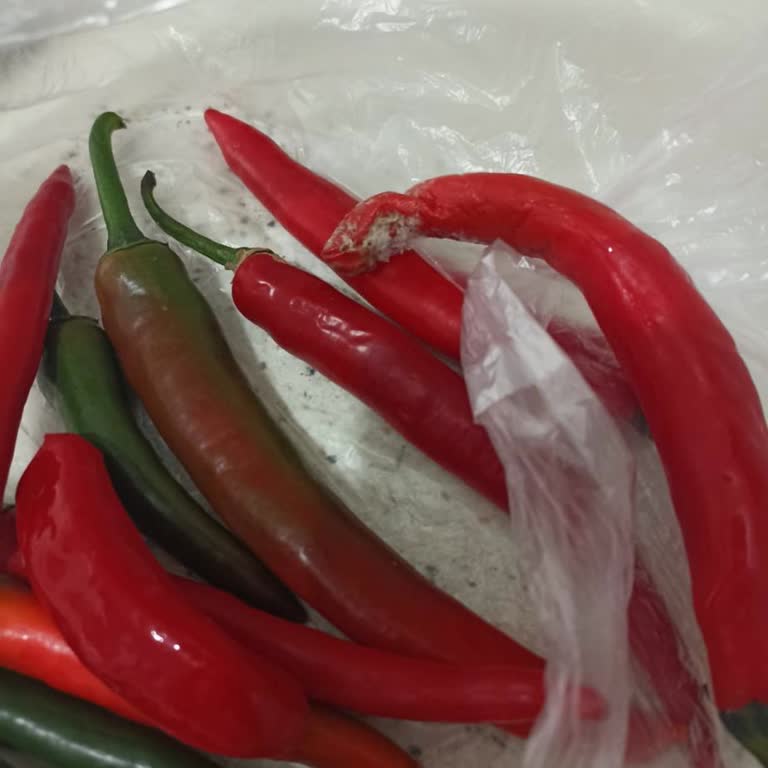 Grundig Gknd 5600 Buzdolabı