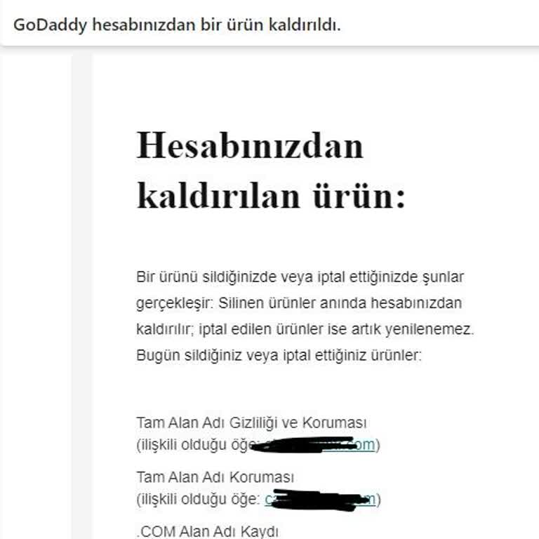 Godaddy Kafasına Göre Domainlere El Koyup Hesabı Kapatıyor