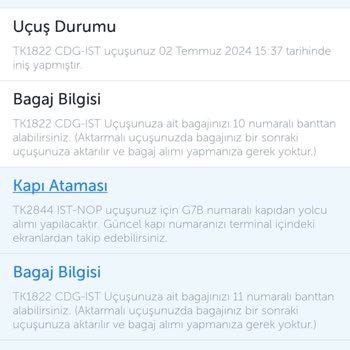 THY Dış Hatlar Rötarı Sonrası İç Hatlar Uçağına Alınmama