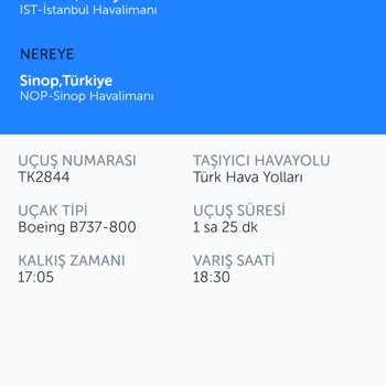 THY Dış Hatlar Rötarı Sonrası İç Hatlar Uçağına Alınmama