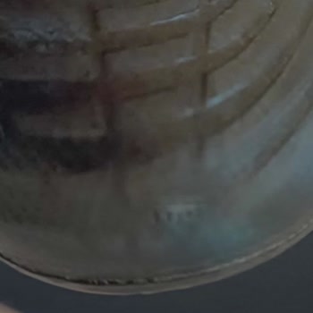 Adidas Predator Marka Orijinal Krampon 2 Ay Olmadan Yırtıldı