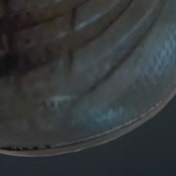 Adidas Predator Marka Orijinal Krampon 2 Ay Olmadan Yırtıldı