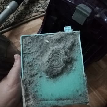 Philips Süpürge Pişmanlığı