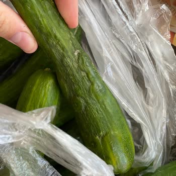 Migros Sanal Sebzelerin Bozukluğu