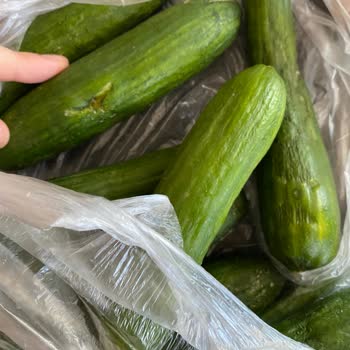 Migros Sanal Sebzelerin Bozukluğu