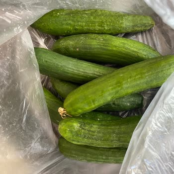 Migros Sanal Sebzelerin Bozukluğu