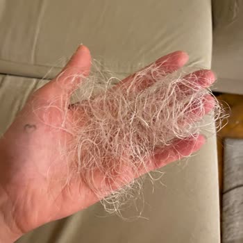 Loreal Paris Saç Boyası Saçımı Mahvetti!