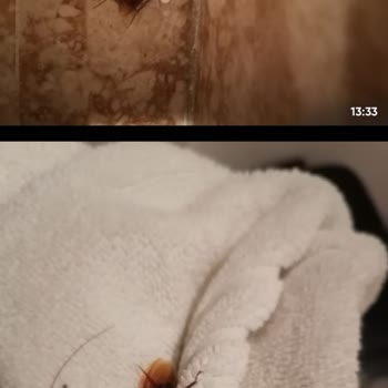 Marin Hotel (Kemer) Beldibi Antalya Hiç Memnun Kalmadık