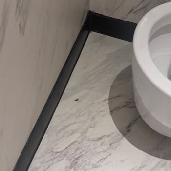 Metropol İstanbul Tuvalette Hamam Böceği Var