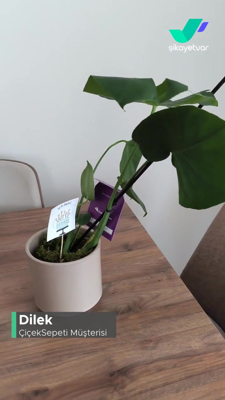 Çiçek Sepeti Son İki Siparişte Hayal Kırıklığısın! videonun kapak resmi