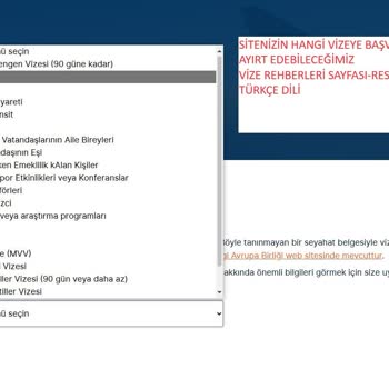 VFS Global Başvuru Sayfasındaki Vize Kategorileri Anlaşılmazlığı