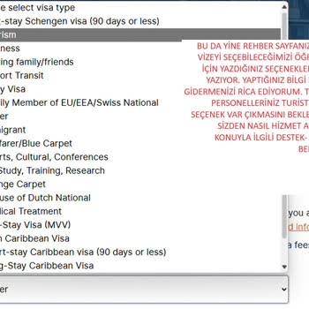 VFS Global Başvuru Sayfasındaki Vize Kategorileri Anlaşılmazlığı