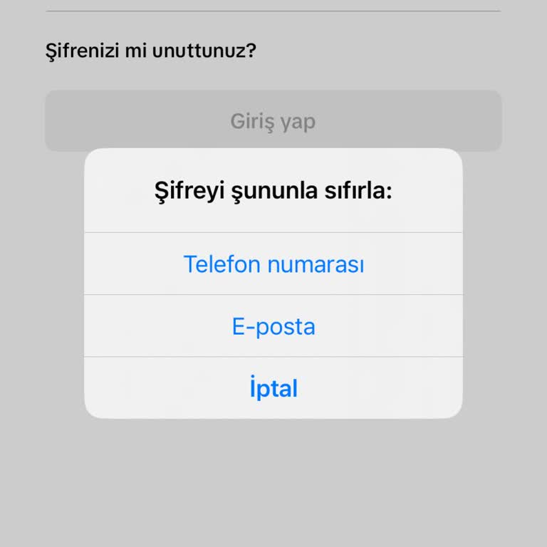 TikTok Numara Erişim Sorunu