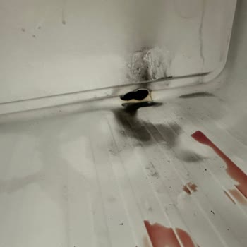 Samsung Buzdolabının Kendi Kendine Yanması