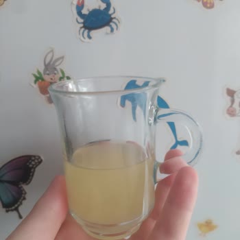 Pınar Su ve İçecek Portakal Suyu Deneyimi