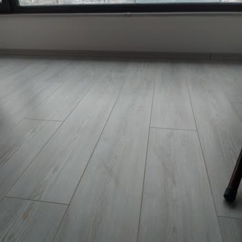 Bissell C3 Kirli Su Bırakıyor