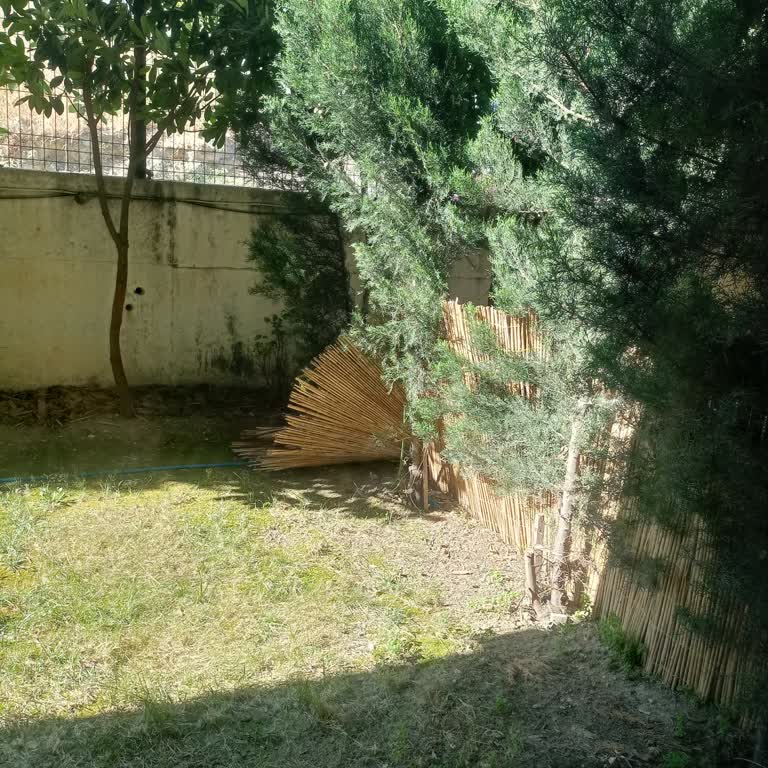 Çevre, Şehircilik Ve İklim Değişikliği Bakanlığı Beylikdüzü Gürpınar Blue Hill Sitesi Kedi Sorunu